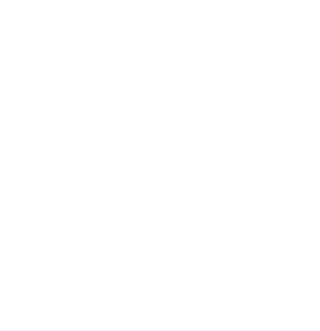 HIVEMIND BASKETBALL INTERNATIONAL